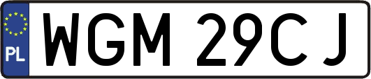 WGM29CJ