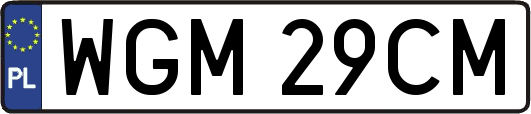 WGM29CM