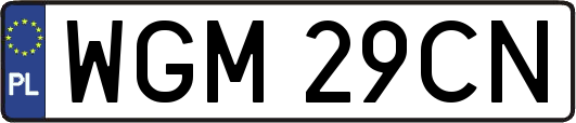 WGM29CN