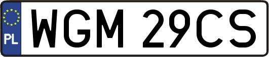 WGM29CS