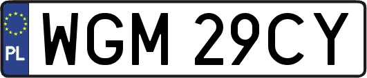 WGM29CY
