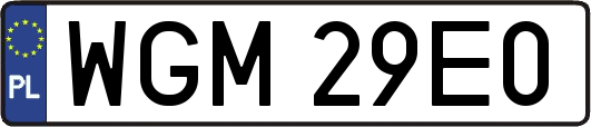WGM29E0