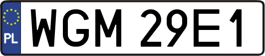 WGM29E1