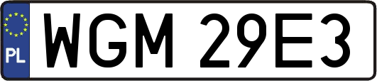 WGM29E3