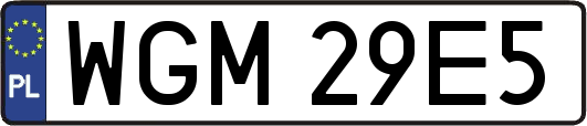 WGM29E5
