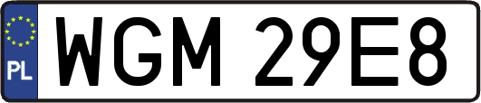 WGM29E8