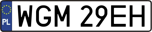 WGM29EH