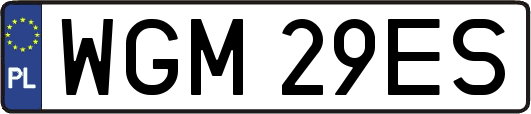 WGM29ES
