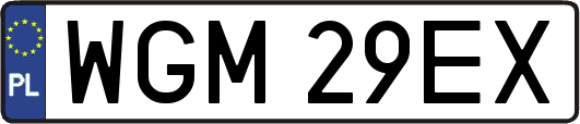 WGM29EX