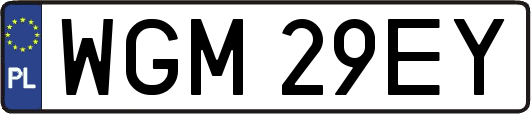 WGM29EY