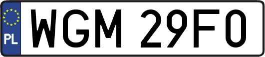 WGM29F0