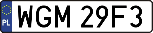 WGM29F3