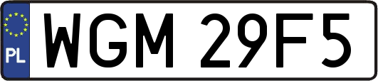 WGM29F5