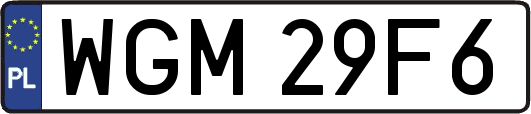 WGM29F6
