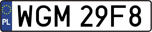 WGM29F8