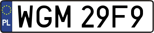 WGM29F9