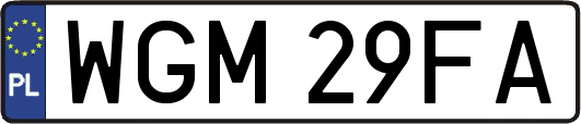 WGM29FA