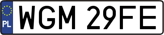 WGM29FE