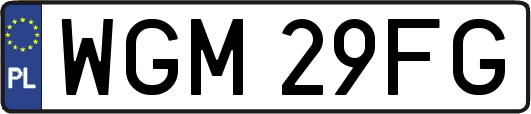 WGM29FG