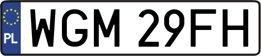 WGM29FH