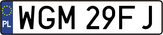 WGM29FJ