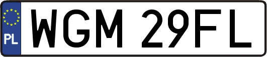 WGM29FL