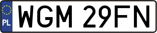 WGM29FN