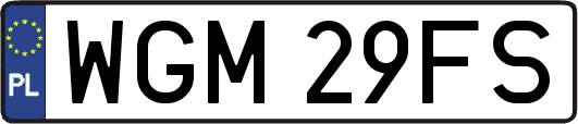 WGM29FS
