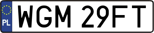 WGM29FT
