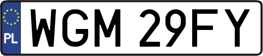WGM29FY