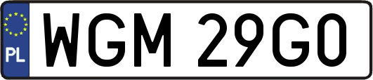 WGM29G0