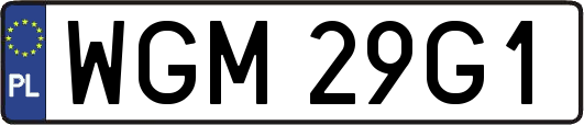 WGM29G1