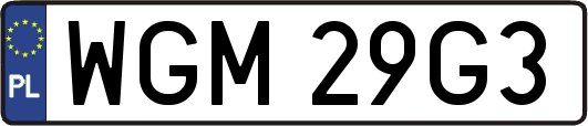 WGM29G3
