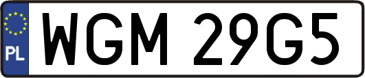 WGM29G5