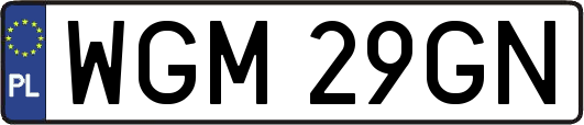 WGM29GN