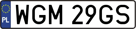 WGM29GS