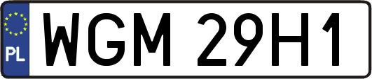 WGM29H1