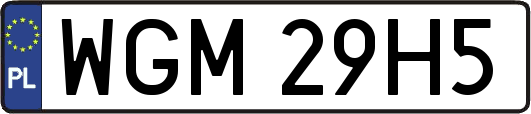 WGM29H5