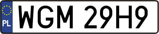 WGM29H9