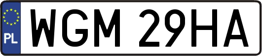 WGM29HA