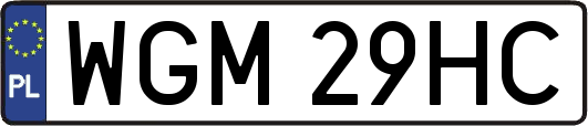 WGM29HC