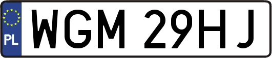 WGM29HJ