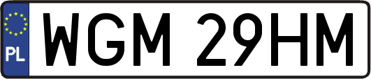 WGM29HM