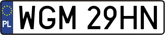 WGM29HN