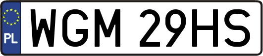 WGM29HS