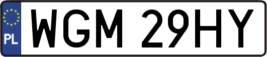 WGM29HY