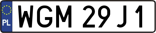 WGM29J1