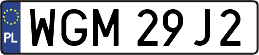 WGM29J2