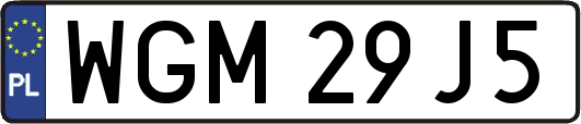 WGM29J5