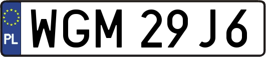 WGM29J6